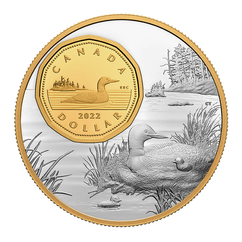 Image for 5 oz Fine Silver Coin The Bigger Picture: The Loon from TD Precious Metals